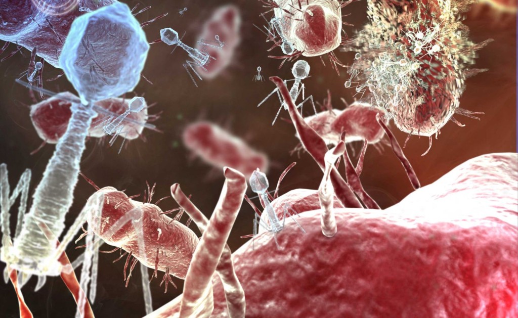 الفيروسات والبكتريا