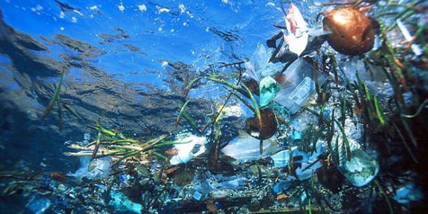 تلوث البيئة البحرية