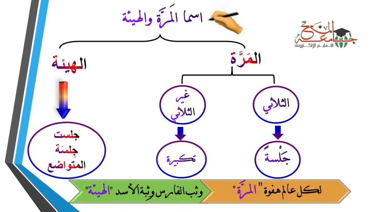 اسم المرة واسم الهيئة