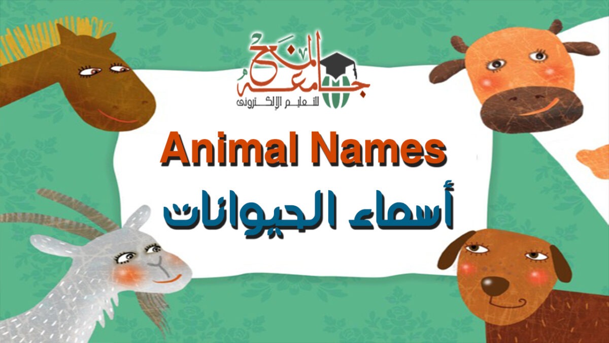 اسماء الحيوانات بالانجليزي