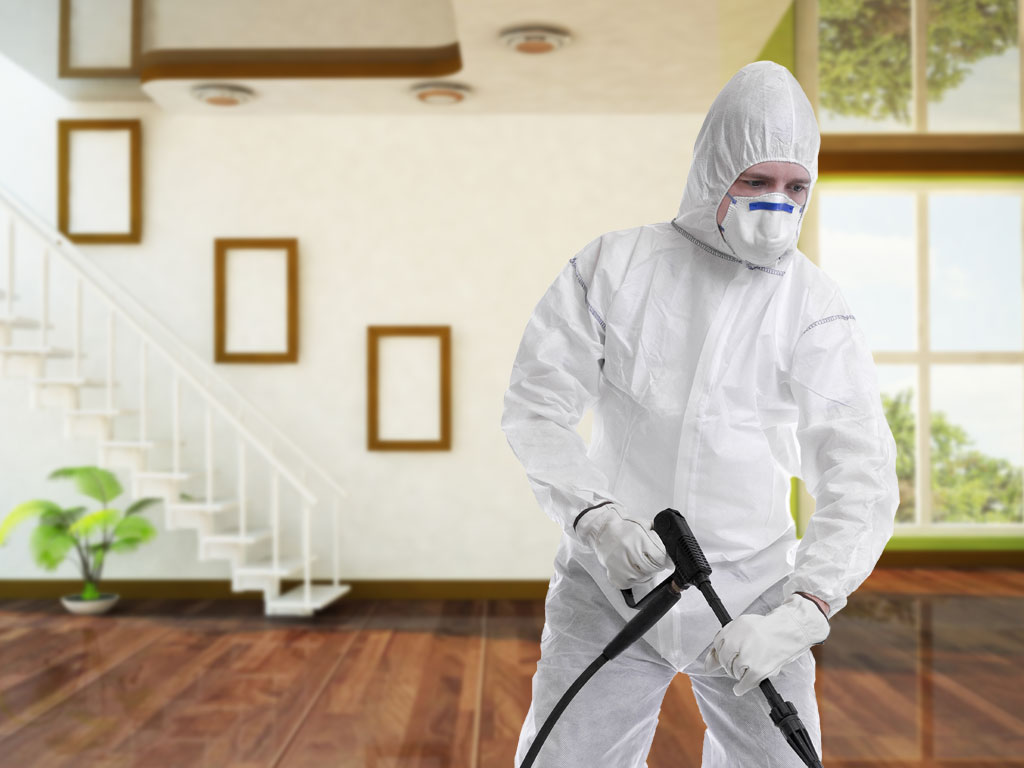 شركة الانارة للتنظيف والمكافحة