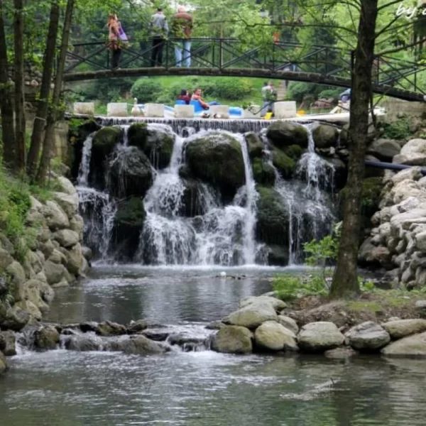 شركة ذهبي للسياحة