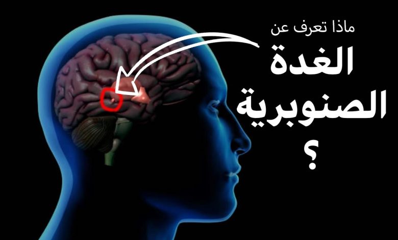 الغدة الصنوبرية