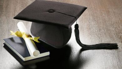 الدراسة في مصر